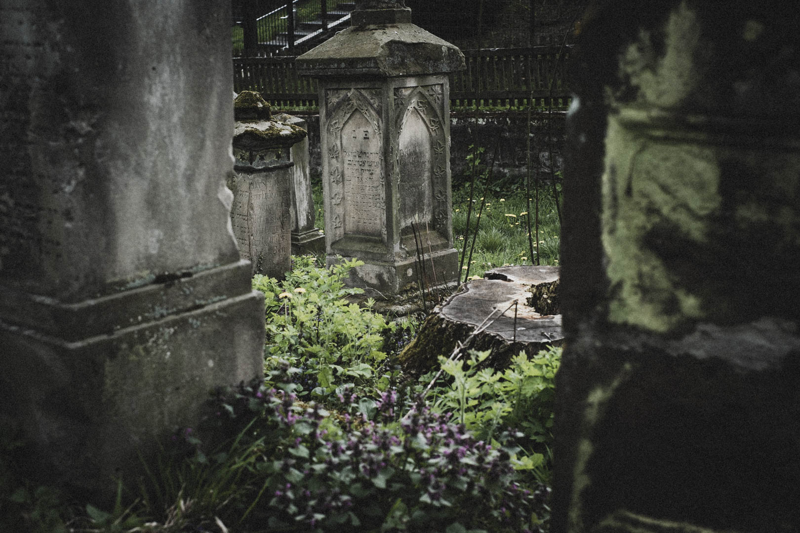 Borgholz, Jüdischer Friedhof